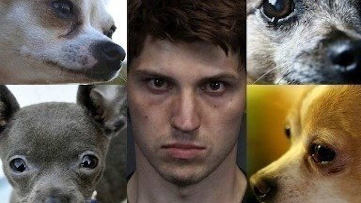 Man Sentenced To 28 Years In Prison For Torturing Dogs