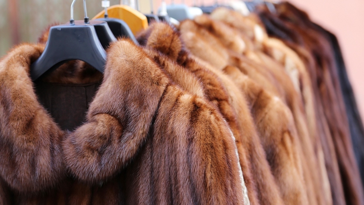 Victory! 16 Brands Ban Fur