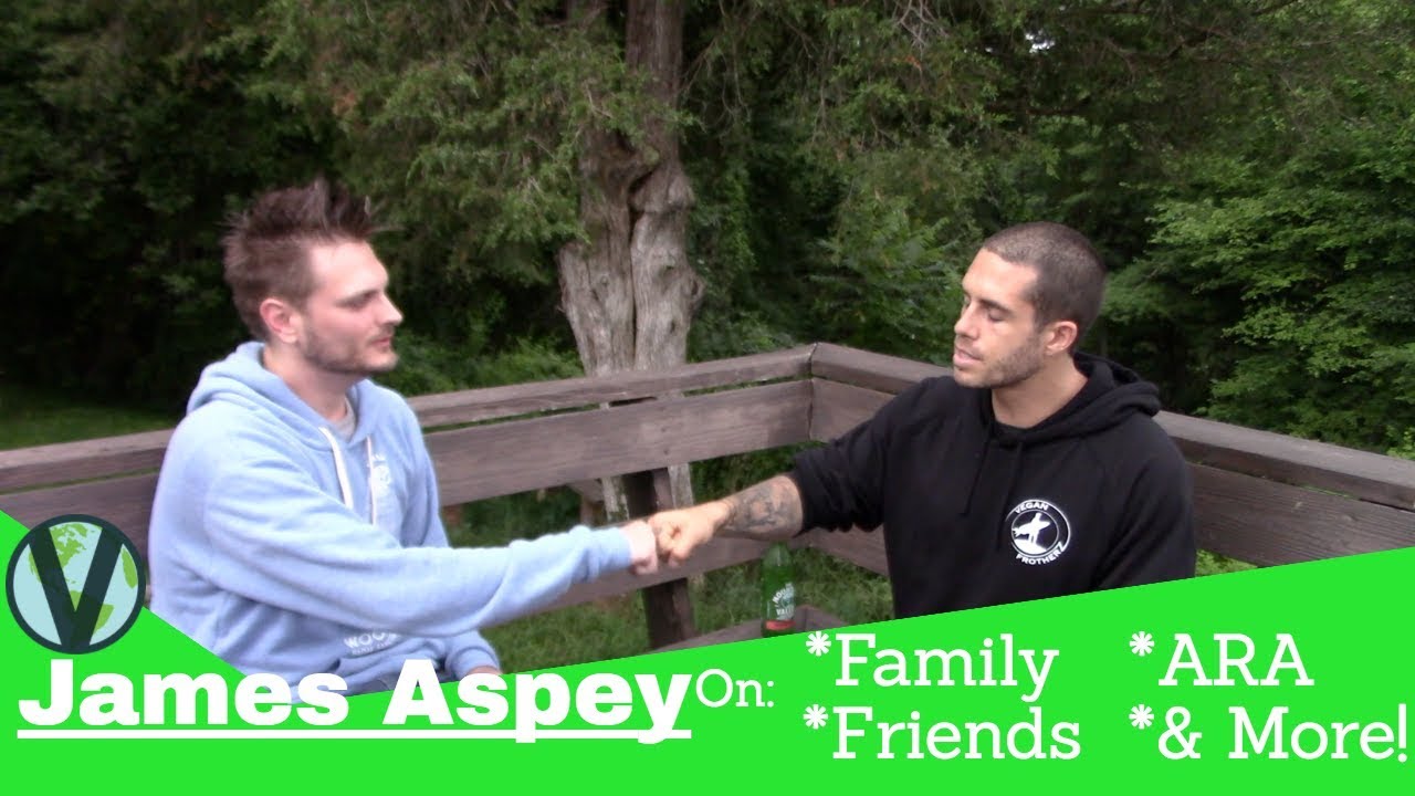 James Aspey Full Interview At Woodstock Farm Sanctuary
