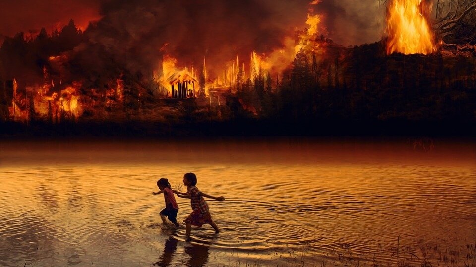 LA & NYC Banning Big Meat Corporations To Save The Amazon