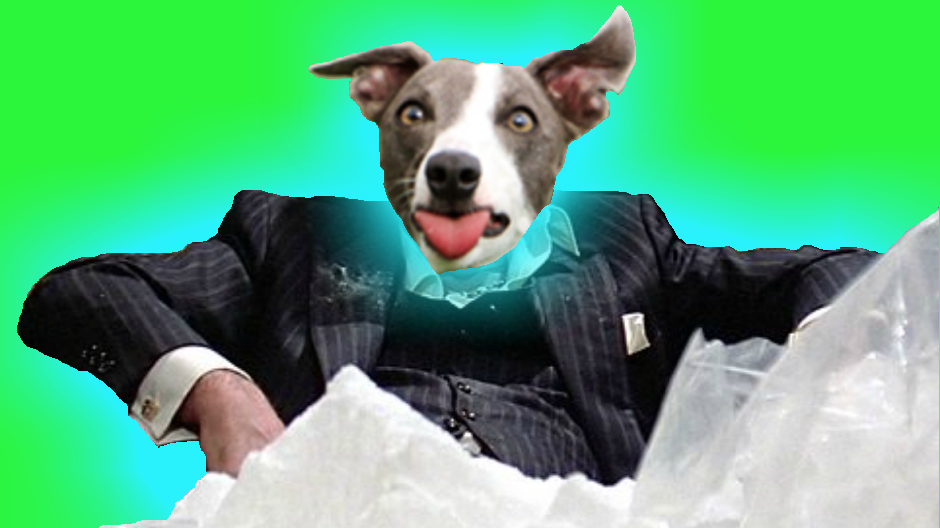 Greyhounds Addicted To Cocaine, Vegan Stock Watch, Tons Of Vegan Food News & More!