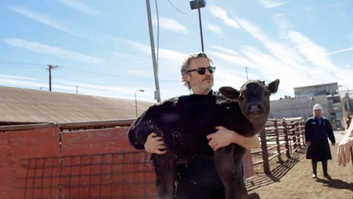 Joaquin Phoenix Is Producing A New Documentary On Animal Sentience