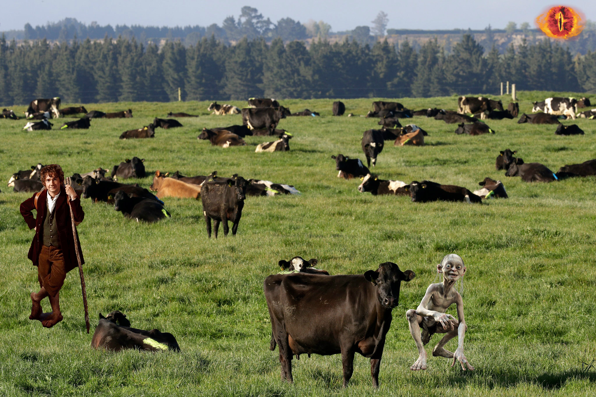 Rivers Of Urine Plague New Zealand In Recent New York Times Article