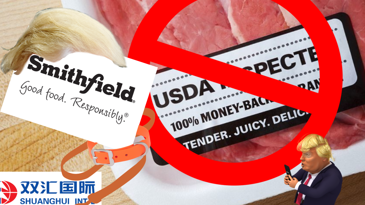 Pork Industry To Self Inspect