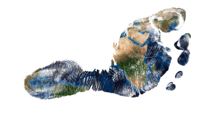 New Study: Vegan Plant Based Diet Reduces Carbon Footprint by 73%
