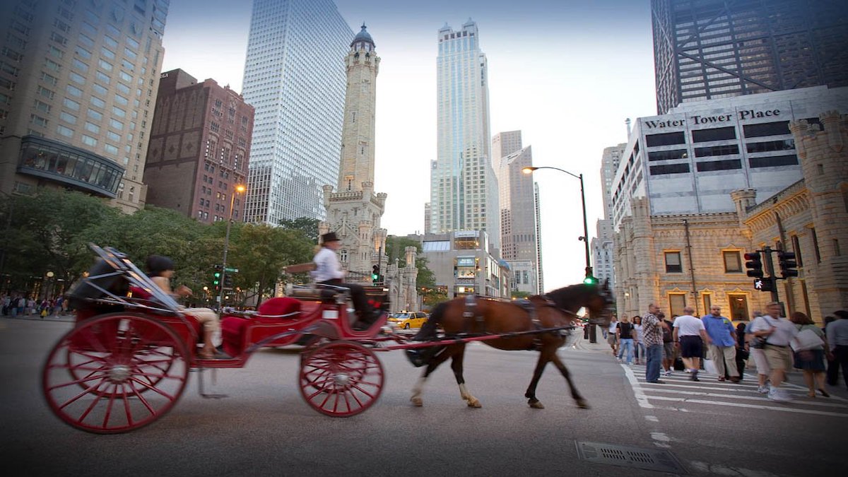 Victory! Chicago Bans Horse-Drawn Carriages After NYC Incident