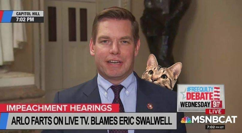 Cute Shelter Cat Escapes Constantly By Opening Doors For Himself & Other Cats Too