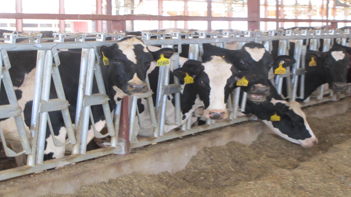 Missouri Ag-Gag Law Trying To Pass Again