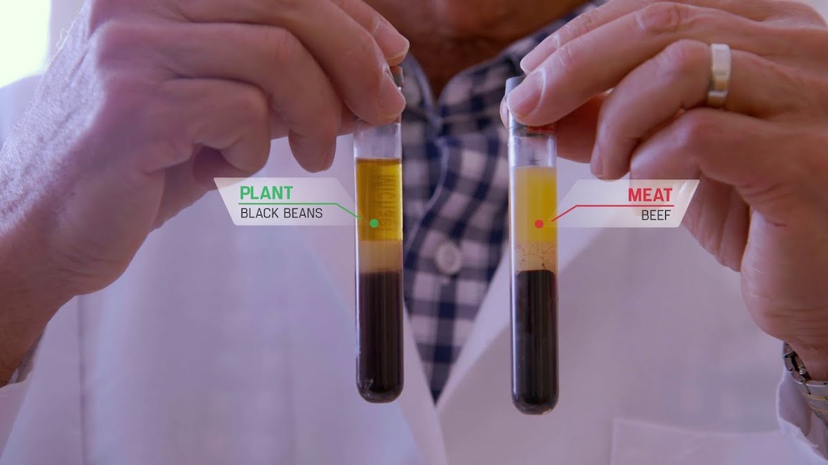 Offering a first of its kind online testing service targeted towards vegans or those looking to go vegan and plant-based is available now by HealthLabs.com