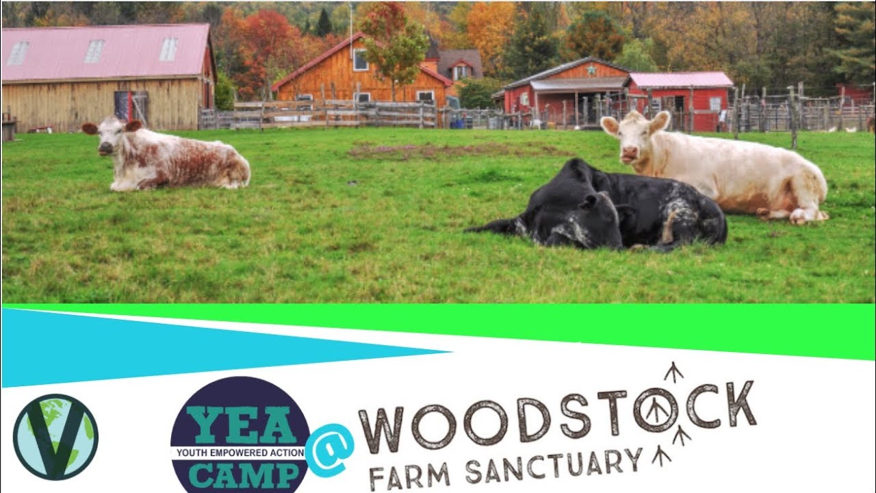Woodstock Farm Sanctuary NY