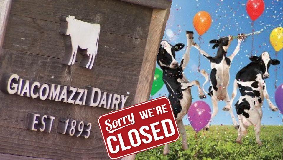 Victory! 125 Year Old Dairy Farm Oldest In California Goes Vegan
