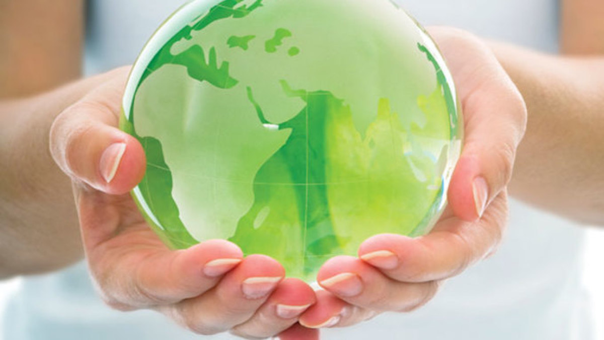 New Report: Plant-Based Vegan Protein Market To Reach 35.5 Billion By 2024