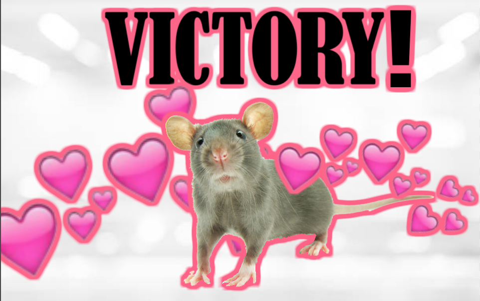 Victory! Pfizer Ends Cruel Testing On Rats & Mice