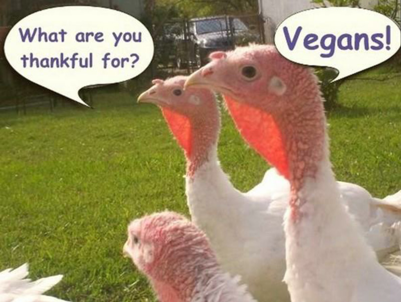 Top 5 Vegan Holiday Roasts