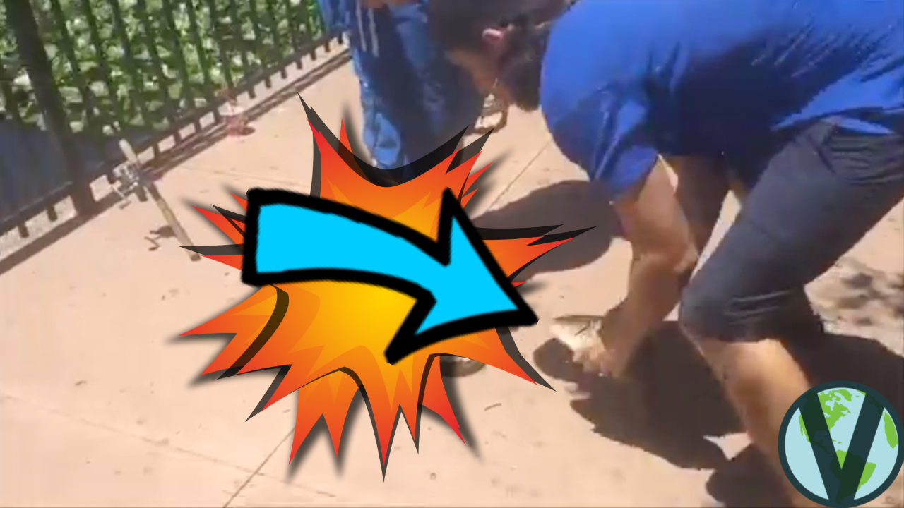 Activist Charged For Saving Fish Left On 92º Sidewalk !! & More Stories