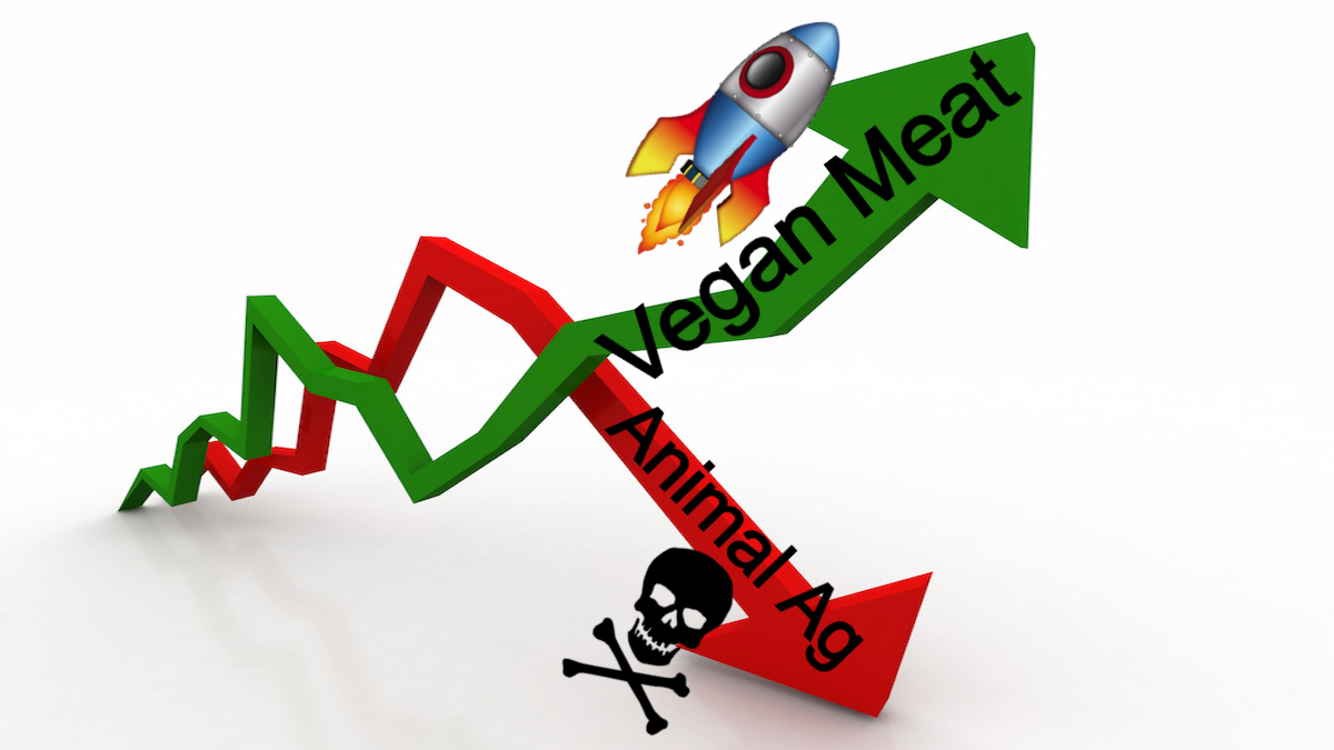 Vegan Meat Sales Hit Record High As Animal Ag Meat Sales Lowest In Six Years And Losing Billions