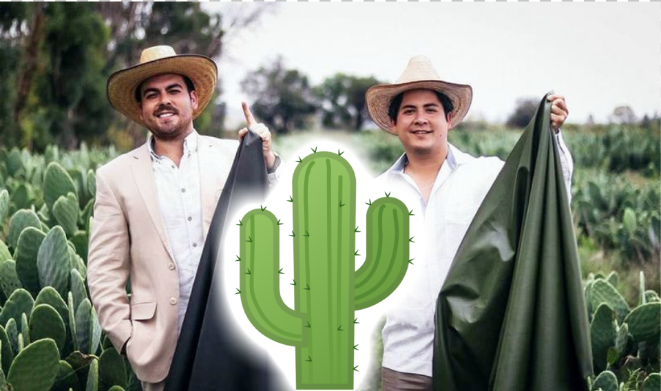 Entrepreneurs Create Environmentally Friendly Vegan Leather From Cactus
